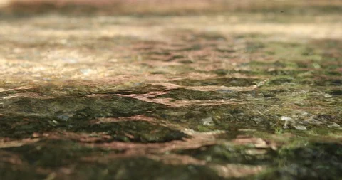 Stream of river water in nature, close-up Stock Footage 86330742