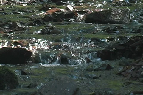 Stream to River Zoom Out Video stock 6825060