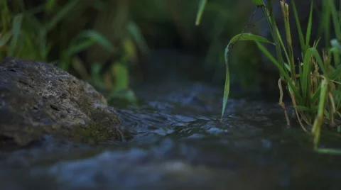 Stream with Rock Stock Footage 48950124