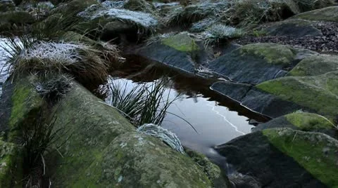Stream rockpool 1 140112 Video stock 10616037