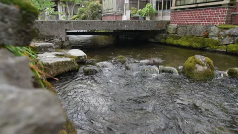 Stream with rocks and moss under a concrete bridge in a small Japanese village. Stock Footage 151877118