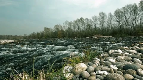 Stream with rocks flows downstream Stock Footage 203760865