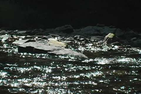 Stream with Rocks Stock Footage 6822490
