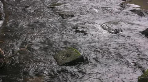 Stream on rocks Stock Footage 10585990