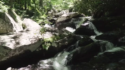 Stream with Rocks Stock Footage 137865026
