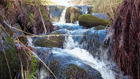 Stream rocks ice moss Stock Footage 258671442