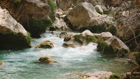 Stream Running Across The Rocks Inside The Forest Video stock 235666942