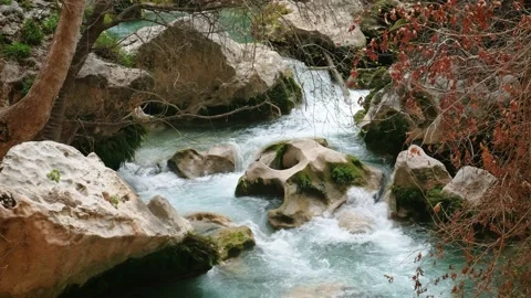 Stream Running Across The Rocks Inside The Forest Stock Footage 235667168