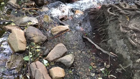 Stream Running Into Another Stream Stock Footage 87059534