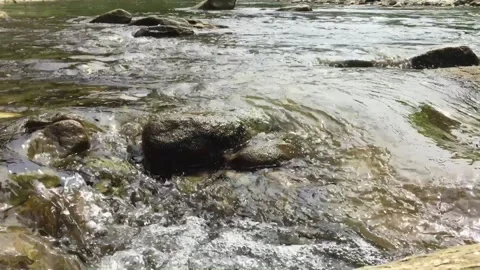 Stream Running Down Rocks Video stock 95967263
