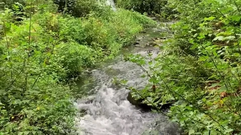 Stream Running Down From Watefall, Stock Footage 253480639
