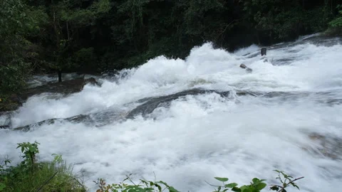 Stream running fast in the green forest in the rainy season. Stock Footage 252402748