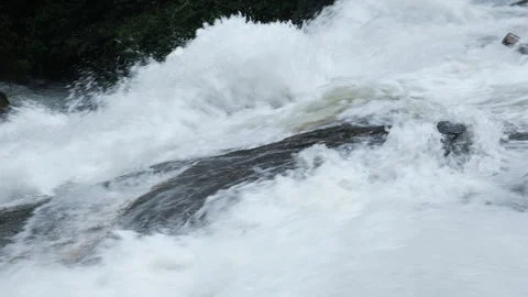 Stream running fast in the green forest in the rainy season. Stock Footage 252402753