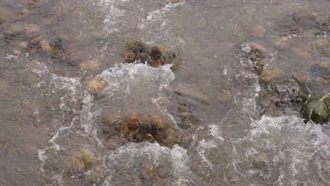 Stream running fast in river. Small waterfall with crystal clear water. Stones Video stock 161954605