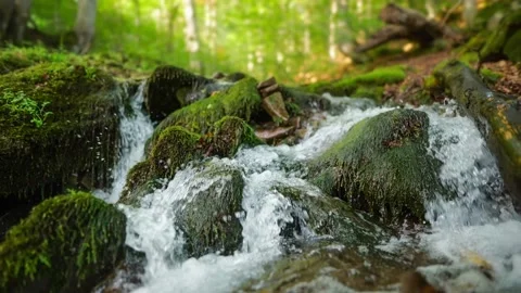 Stream running fast in summer green forest. Small waterfall with crystal clear Stock Footage 139277167