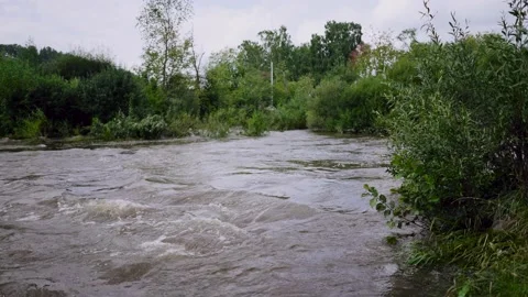 Stream running fast in summer green forest. Stock Footage 152810741