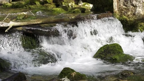 Stream running fast in summer green forest. Small waterfall with crystal clear Video stock 155045570