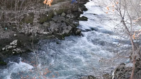 Stream running fast in summer green forest Vídeo Stock 170030858