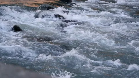 Stream running fast in summer green forest Stock Footage 171404812