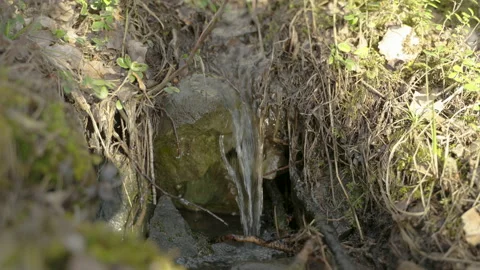 Stream running fast in summer green forest. Small waterfall with crystal clear Stockbeeldmateriaal 197350380