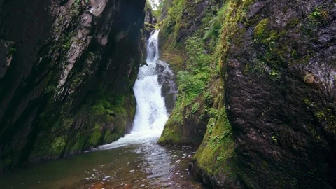 Stream running fast in summer green forest. Small waterfall with crystal clear Stock Footage 273965432