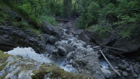 Stream Running Fast In Summer In A Mountain Gorge. Stock Footage 263428372