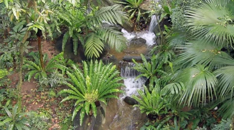 Stream of running Stock Footage 7343616