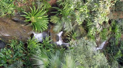 Stream of running Stock Footage 7375441