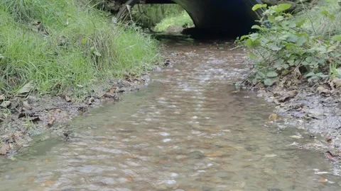 A stream running in a forest Stockbeeldmateriaal 252840745