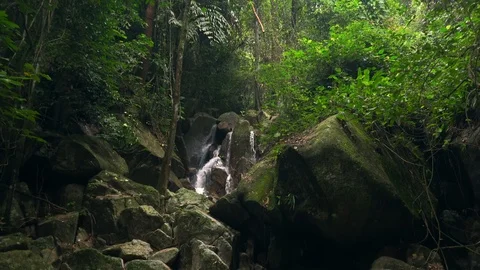 Stream running over mossy boulders against trees. Amazing nature of Thailand Stock Footage 94275553