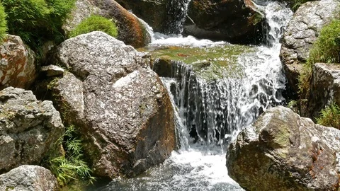 Stream running over mossy rocks Stock Footage 86407990