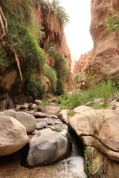 Stream running over rocks and through the lush vegetation of the Wadi Ghuweir Stock Photos