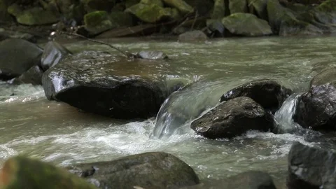 Stream running over rocks Stock Footage 73016734
