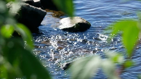 Stream running over rocks seen through leaves in summer Stock Footage 113073748