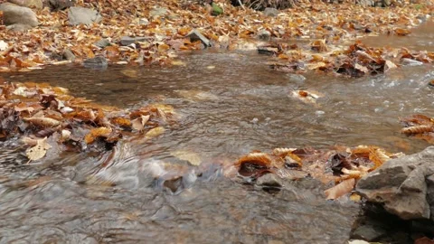 Stream running over small rocks Stock Footage 142755098