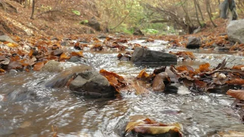 Stream running over small rocks Stock Footage 142757214