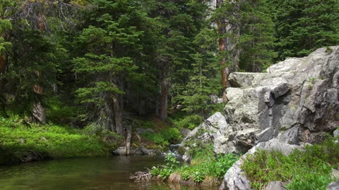 Stream running into a pool in rocky mountain national park 4k 60fps SLOW MOT Stock Footage 135308613