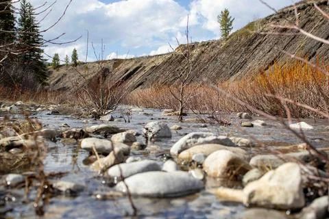 A Stream Running Through A Dry Grass Covered Field. Stock Photos
