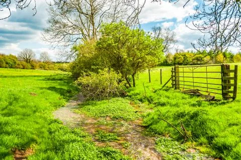 Stream running through a field Chipping Norton Stock Photos