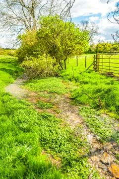 Stream running through a field Chipping Norton Stock Photos