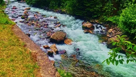 A stream running through a. Stock Footage 284638877