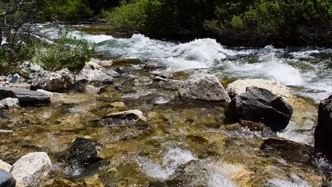 Stream running through a forest Stock Footage 128154533