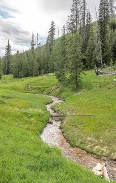 Stream running through the landscape in Yellowstone National Park. Wyoming, USA Stock-Fotos