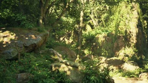 A stream running through a lush green forest. mountain path Stock Illustration