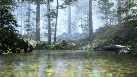 A stream running through a lush green forest Stock Illustration
