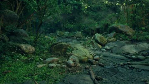 A stream running through a lush green forest Stock Illustration
