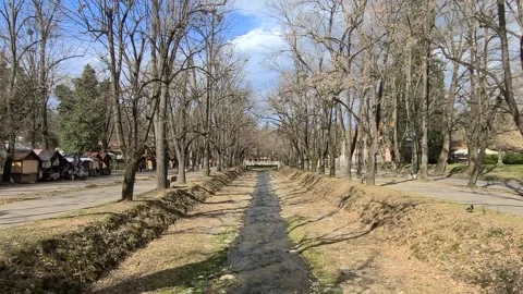 Stream running through a park, Vrnjacka Banja - Serbia Stock-Footage 303923503