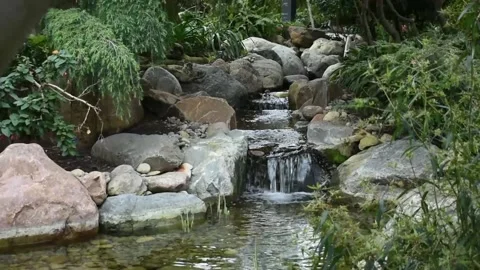 Stream Running Through Rock And Foliage Stock Footage 179023803