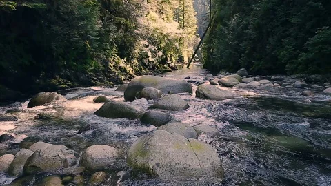 Stream running through rocks and boulders along hiking trail in Lynn Canyon Park Stock Footage 95765536