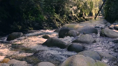 Stream running through rocks and boulders along hiking trail in Lynn Canyon Park Stock Footage 95765633